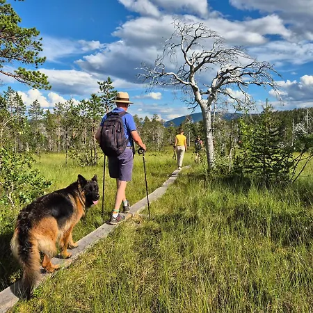 Villaer Senja 4 Summit Torsken