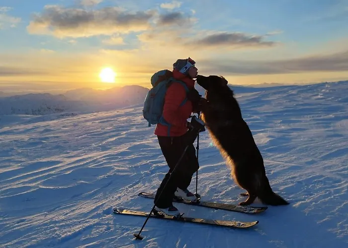 Senja 4 Summit * Torsken