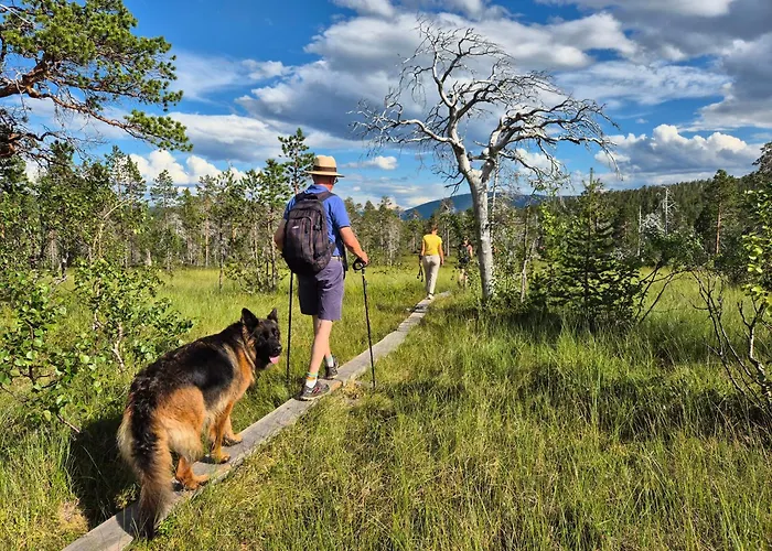 Villa Senja 4 Summit Torsken