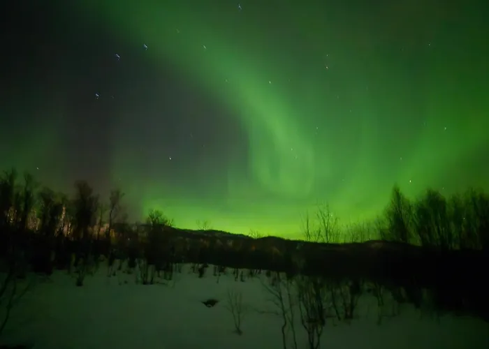 Villa Senja 4 Summit Torsken